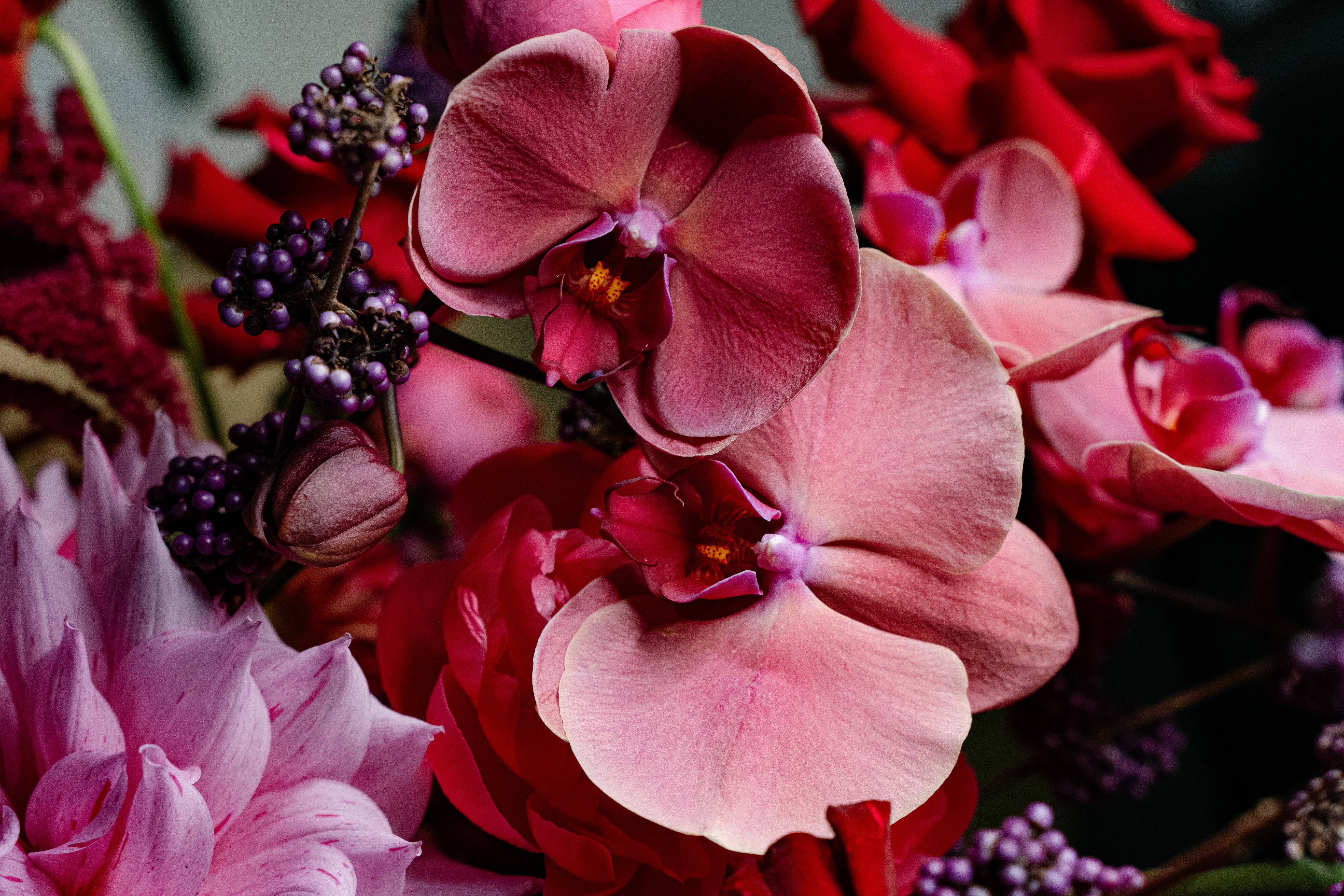 Fresh cut flowers