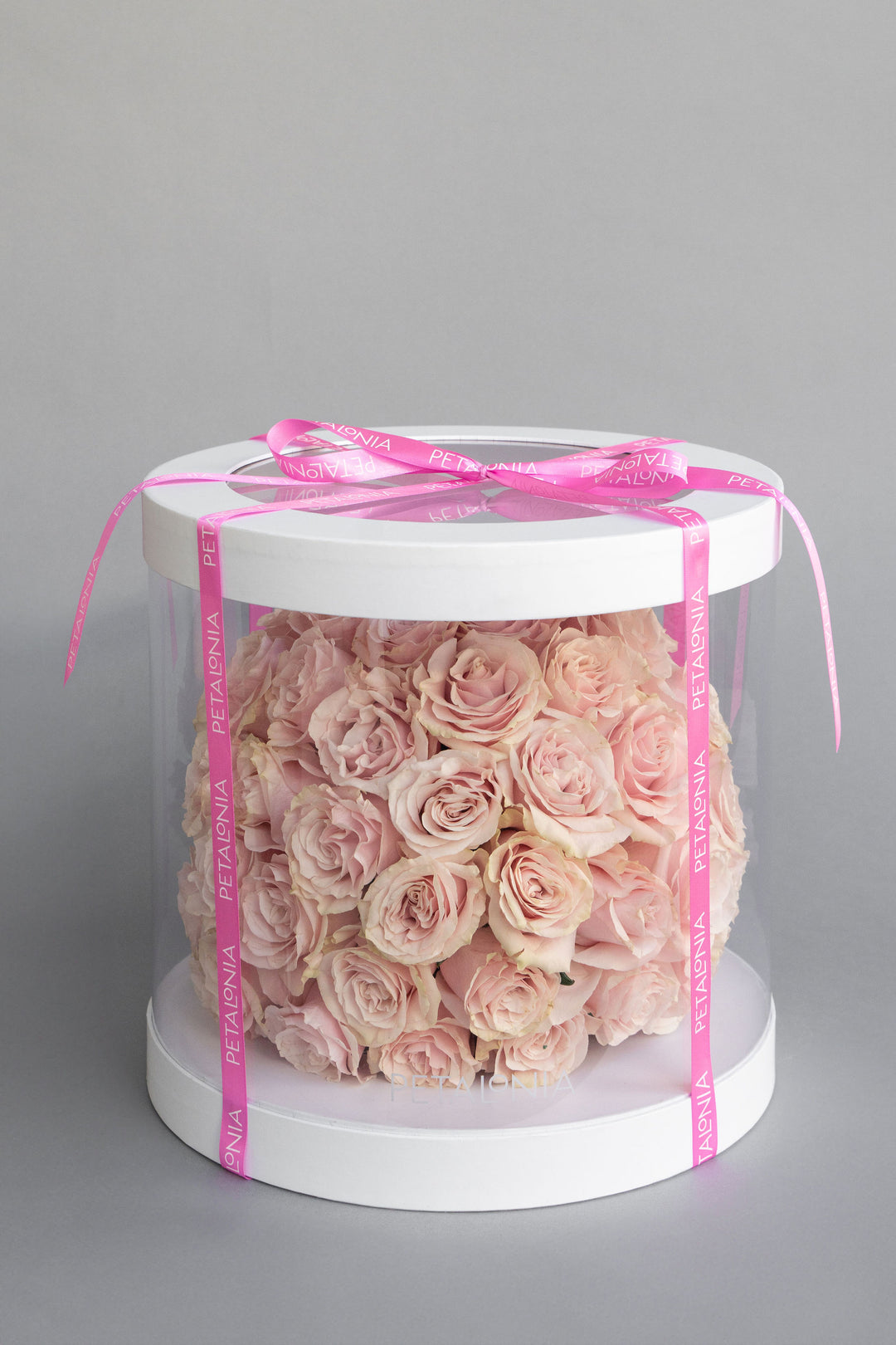 50 Roses in a Large Box