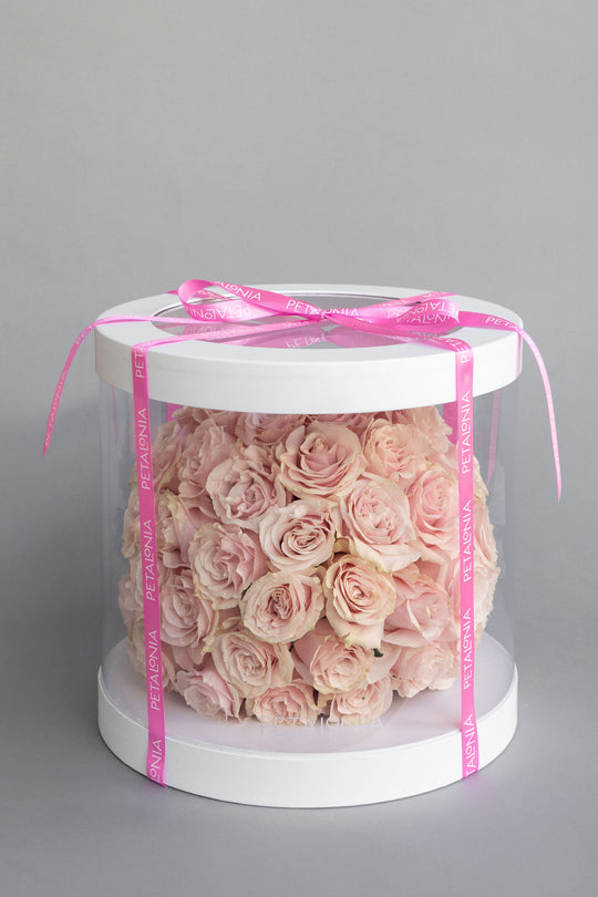 50 Roses in a Large Box