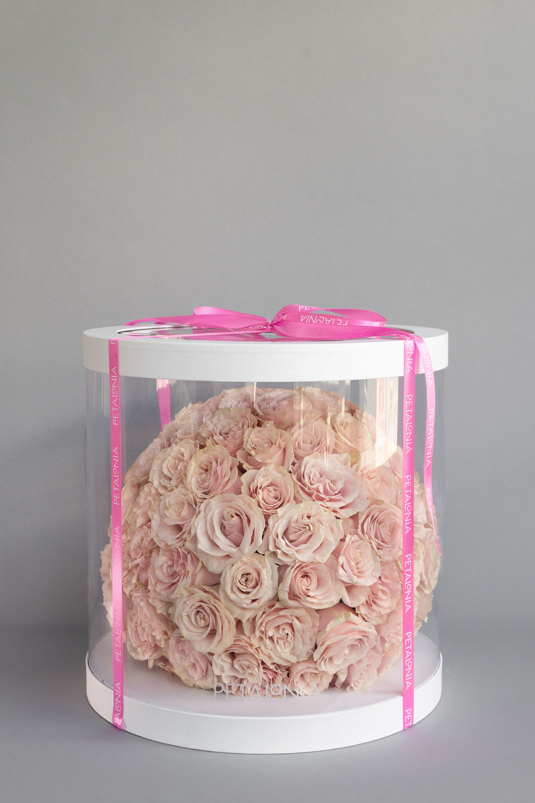 75 Roses in an Extra Large Box